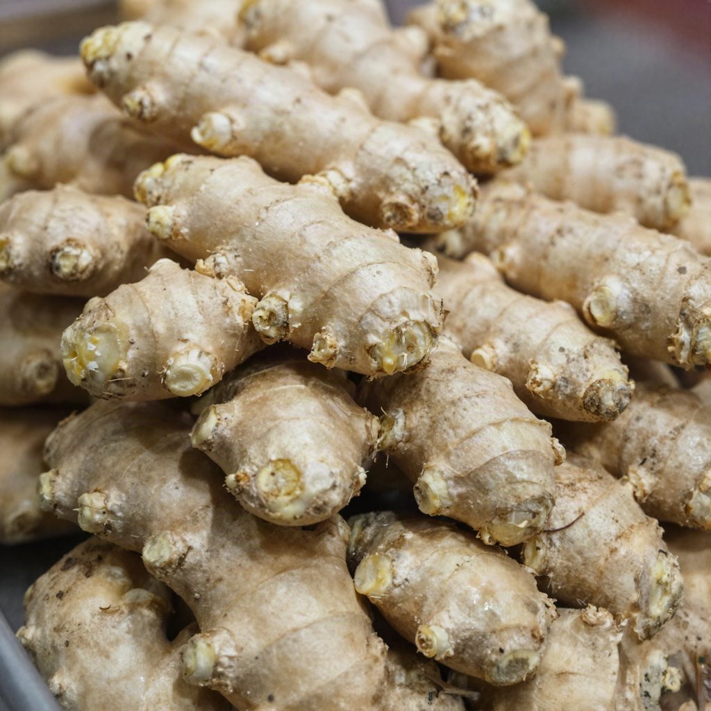 Gingembre frais